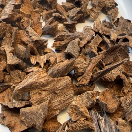 摆件沉香海南野鸡母虫 10克