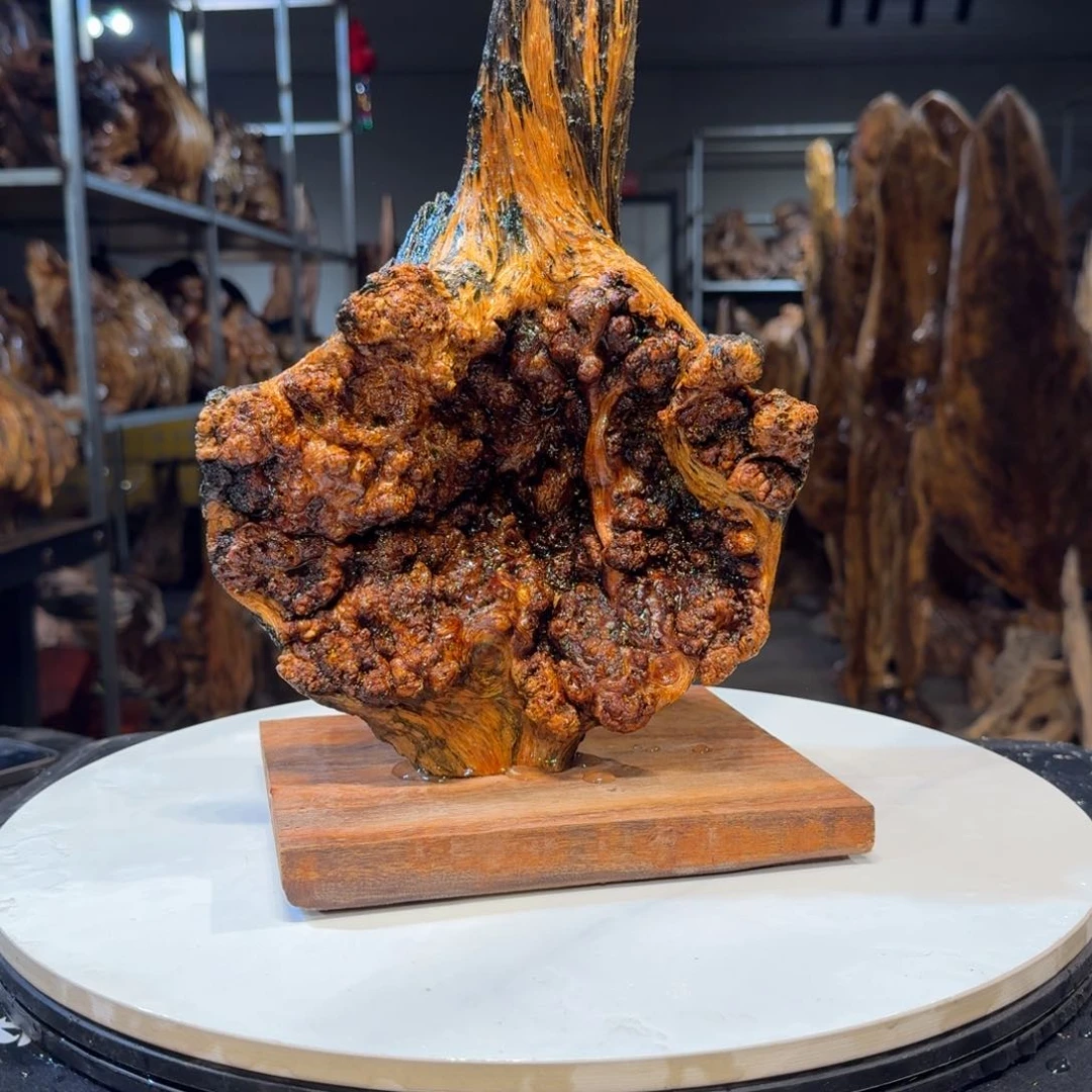 木大*王一刀琥珀木12