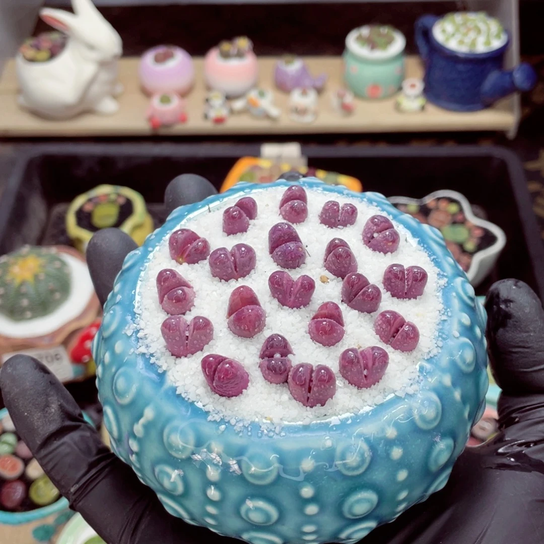 夜间零下地区拍保温箱w3713