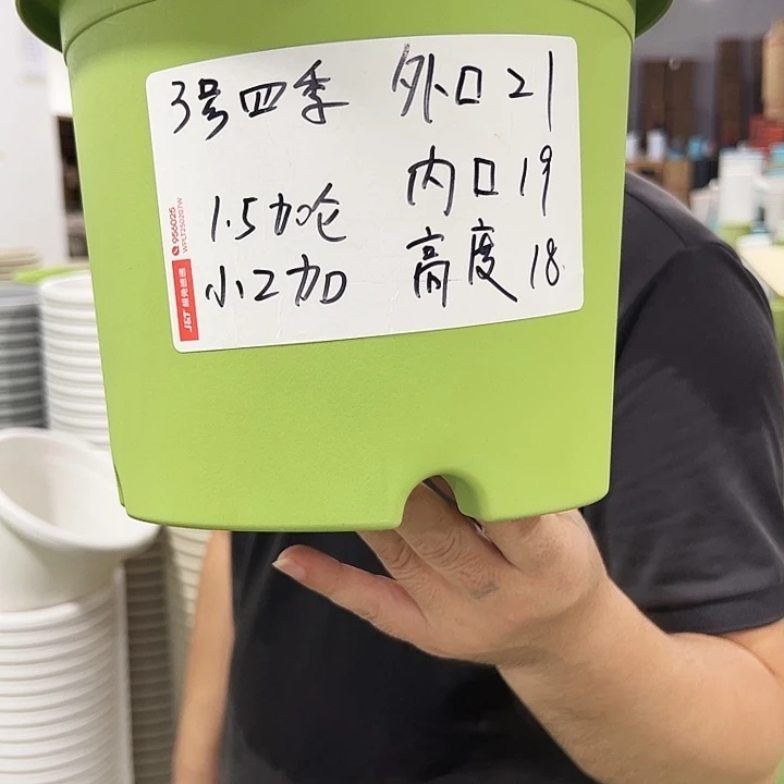 特价3号四季口21高18混色10个无托