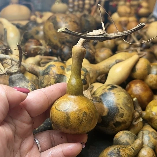 ꧁**꧂葫芦葫芦葫芦葫芦