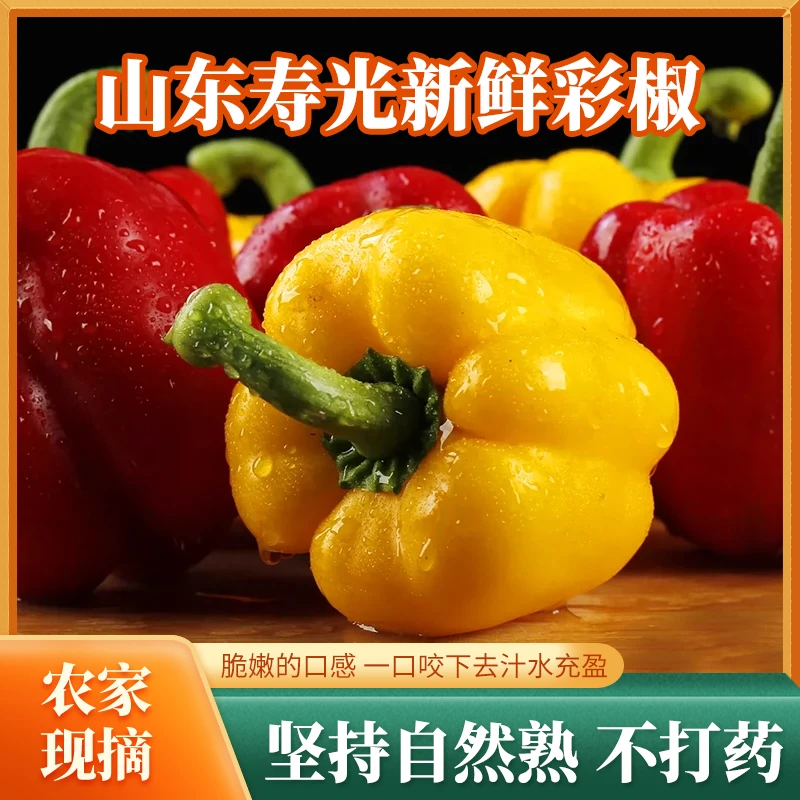 山东新鲜水果彩椒，水果甜椒脆爽可口1斤/3斤/5斤