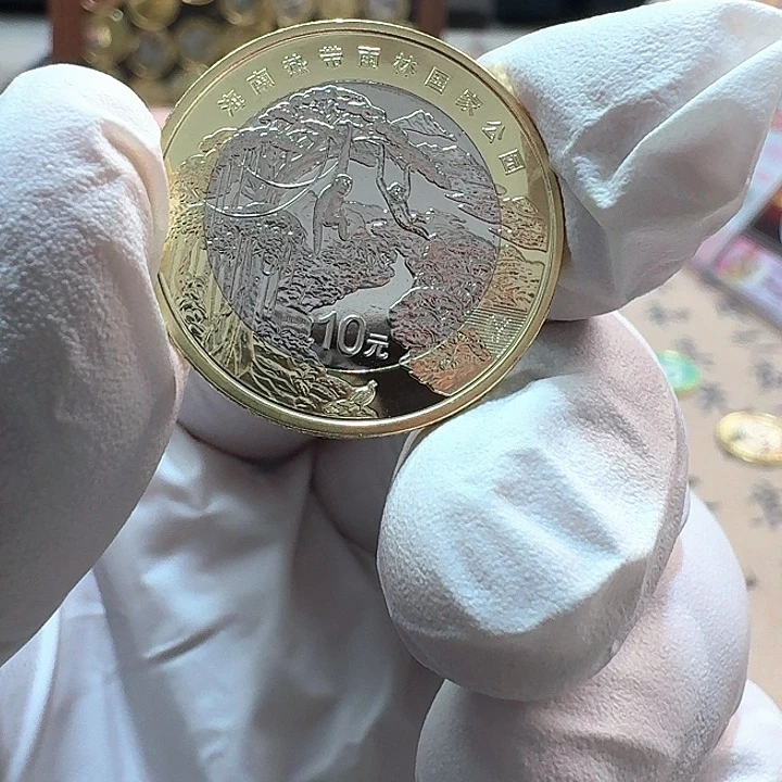 法定货币其他普通金属热带雨林