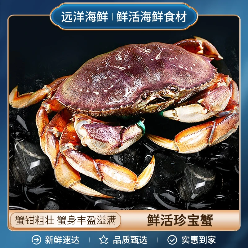 鲜活生猛珍宝蟹 一只约650g-750g
