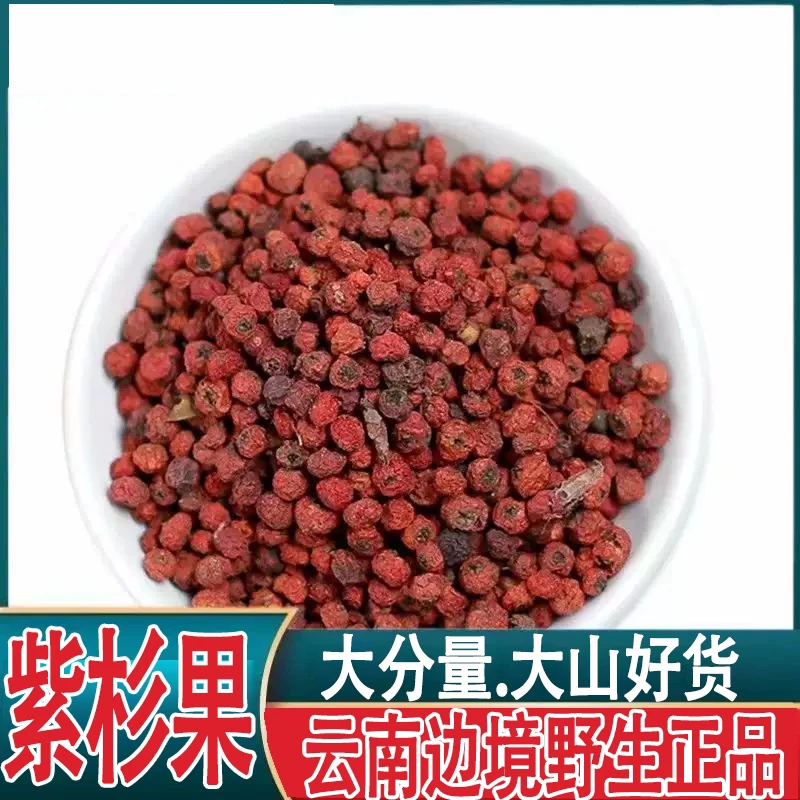 野生高山特产【紫杉果】云南边境山货正品高原采摘正宗泡水紫杉果