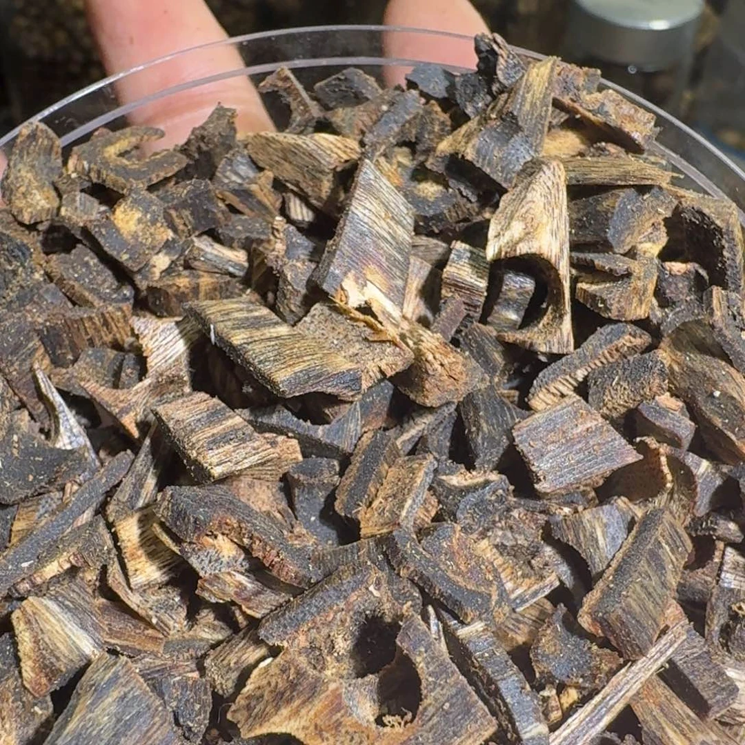 沉香沉香碎屑紫罗兰沉水料28克老料