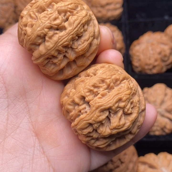 菩提籽类秦岭山脉文玩核桃