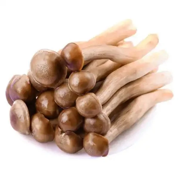 【次日达】鹿茸菇（袋装360g-440g）