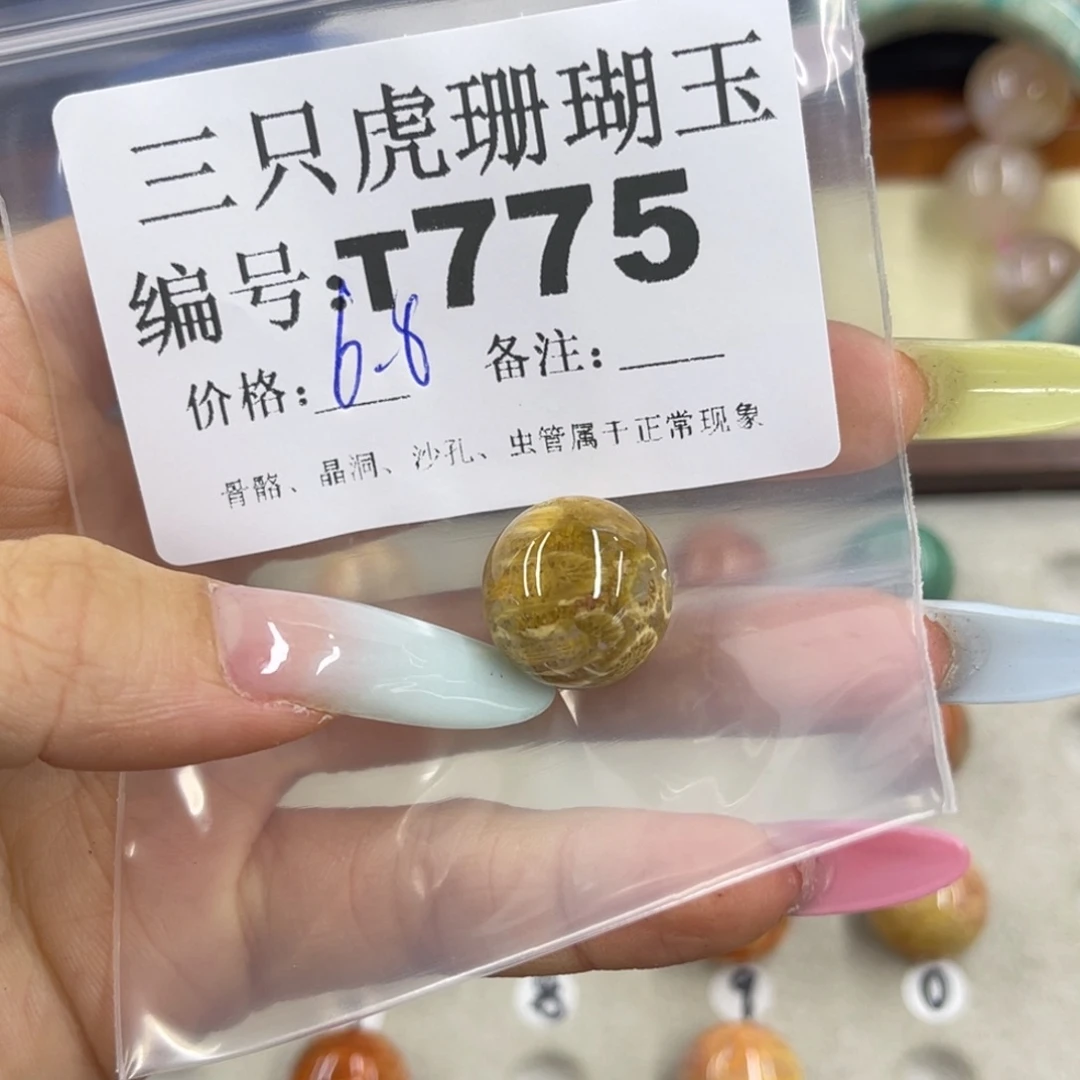 不***凉硅化珊瑚（珊瑚玉）h银S925镀金镶嵌