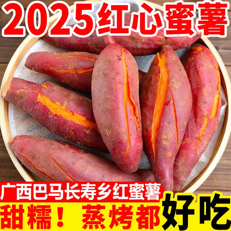 【新鲜现挖】西瓜红红心蜜薯沙地番薯软糯香甜皮薄农家自种