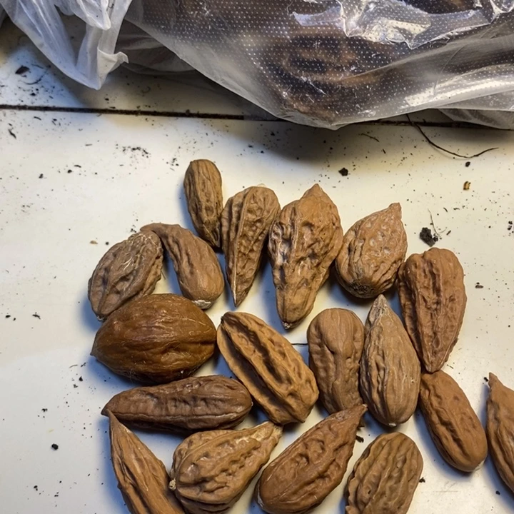 吊坠文玩核桃东北特产102