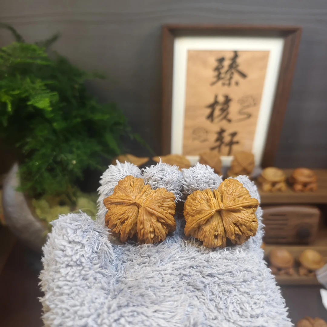46mm白狮子球连，嘎嘎球连，建议直播间看后再拍