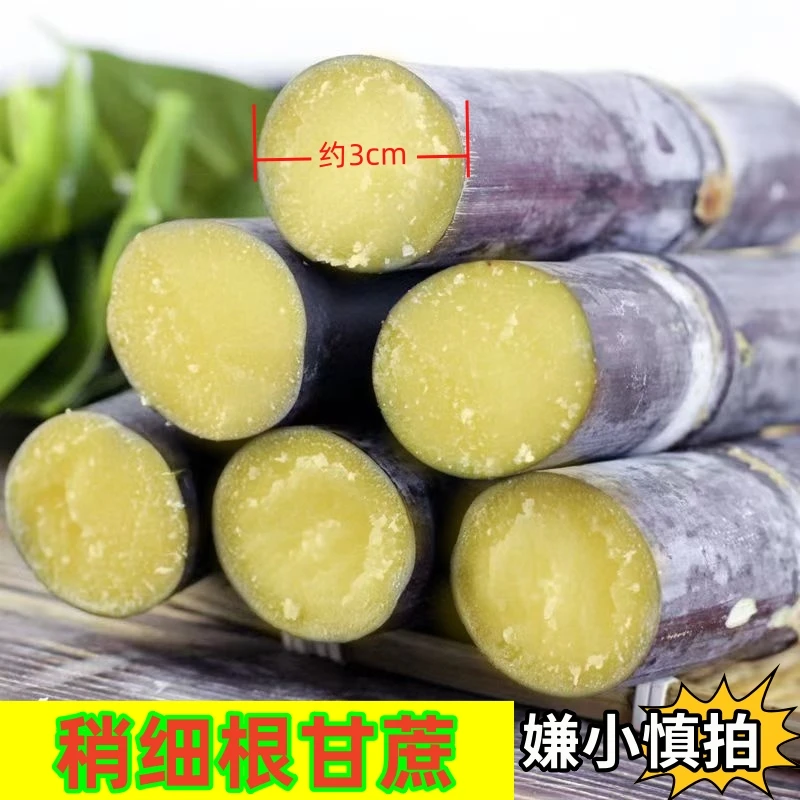【细根甘蔗】广西黑皮甘蔗现采脆甜多汁5斤装9斤装