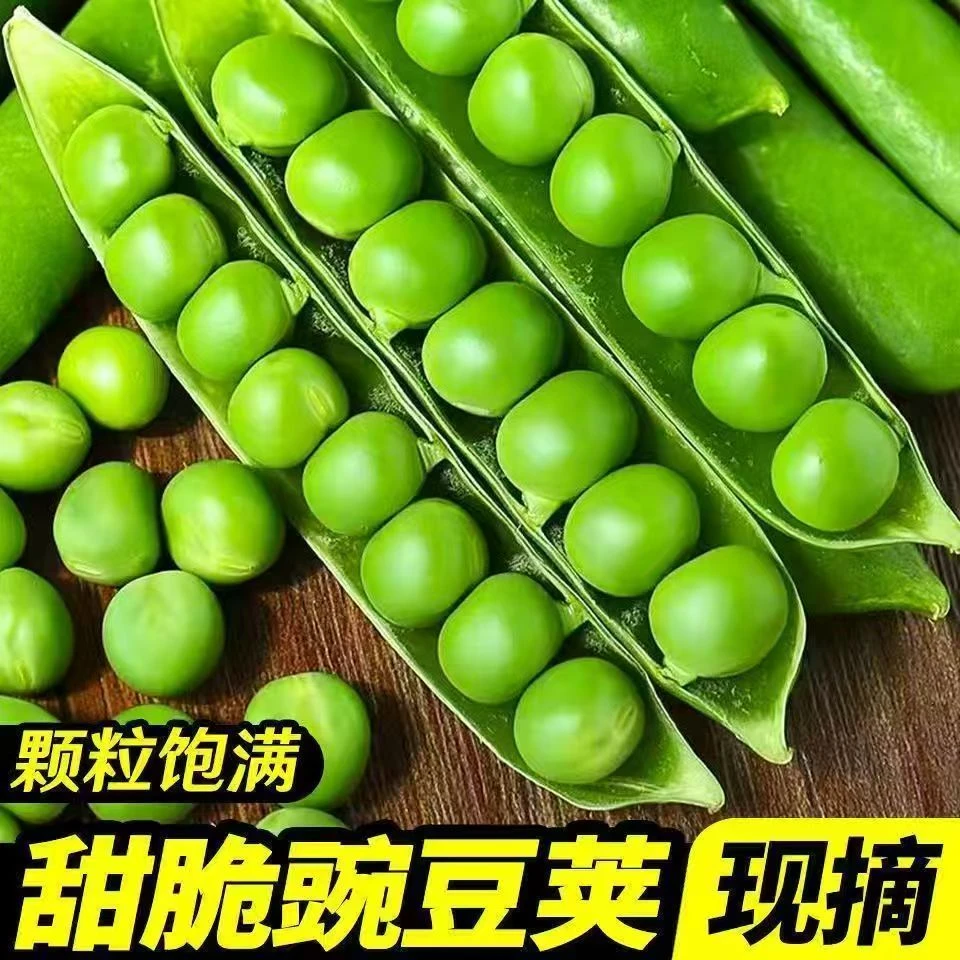 河南农家新鲜现摘带壳豌豆荚当季时令蔬菜甜嫩多汁5斤
