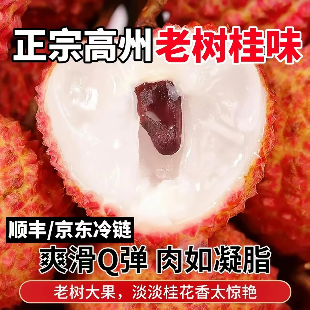 【LinLin专属】广东茂名高州桂味荔枝老树肉厚清甜新鲜水果现摘包邮