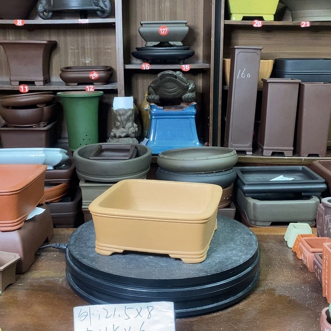 紫砂花盆叶****室紫砂花盆