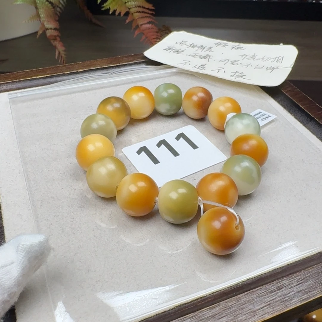 菩提根/象牙果吊坠萧*近全16