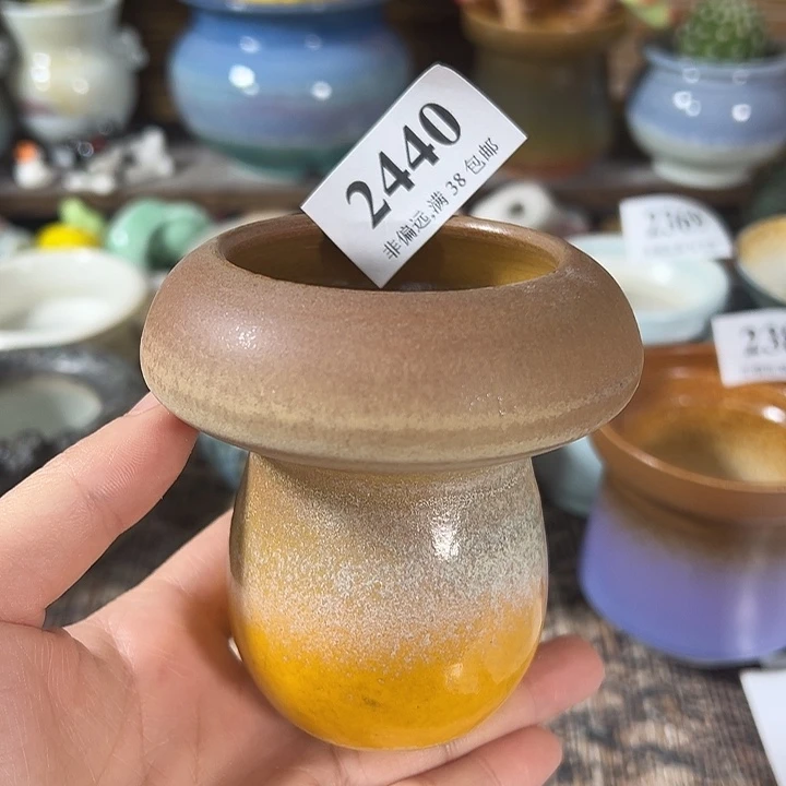 口5高8 ……开播福利