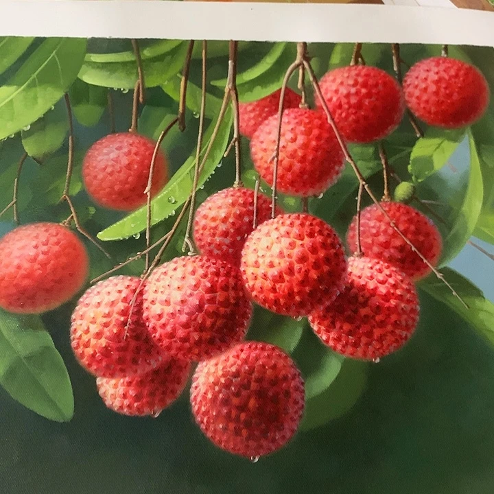 油画50*60手绘油画