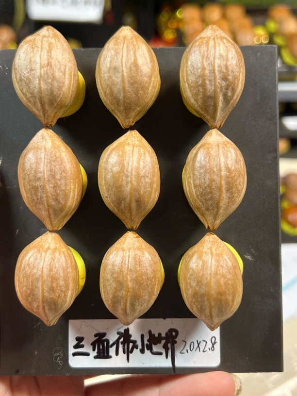 【三面佛】橄榄核手串手持展示为样品与实物有细微差别