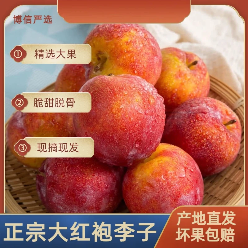 [正宗周家大红袍}脱骨李子坏果包赔产地直发