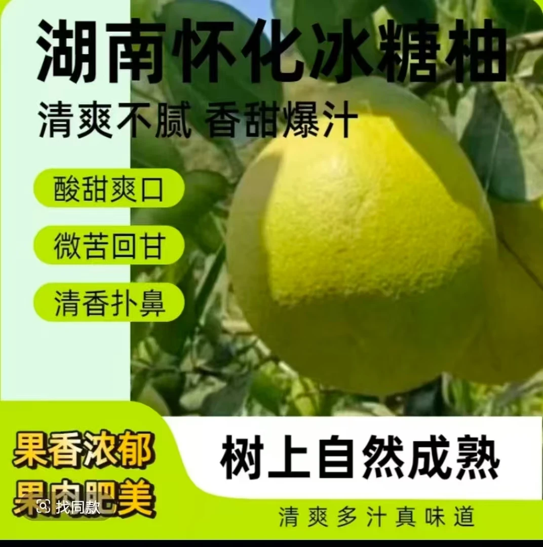 湖南怀化冰糖柚清爽不腻香甜文旦柚爆汁男孩