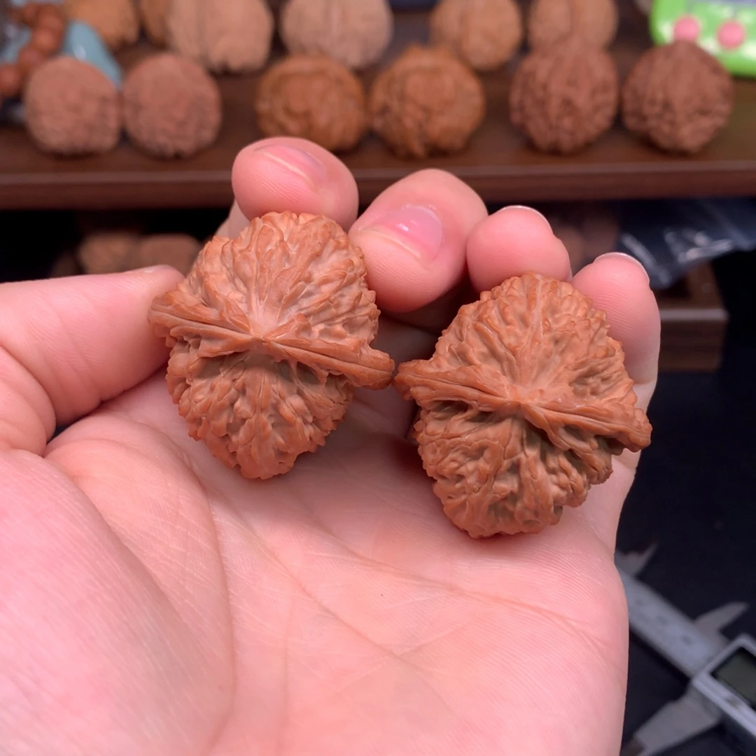 手串文玩核桃36+白狮子