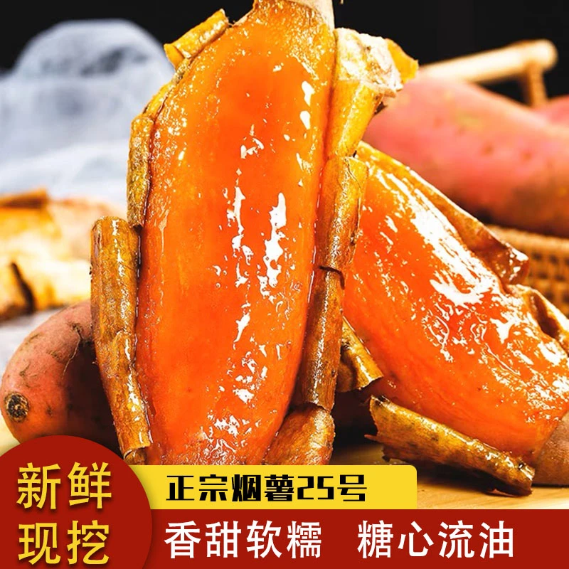 山东烟薯25号烤地瓜红薯糖心流油山芋番薯软糯蜜甜烤红薯