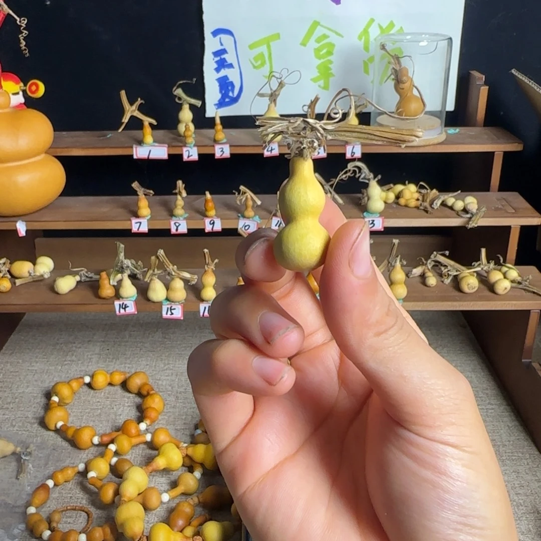 圆***圆打孔不退不换！秒拍秒退拉黑！
