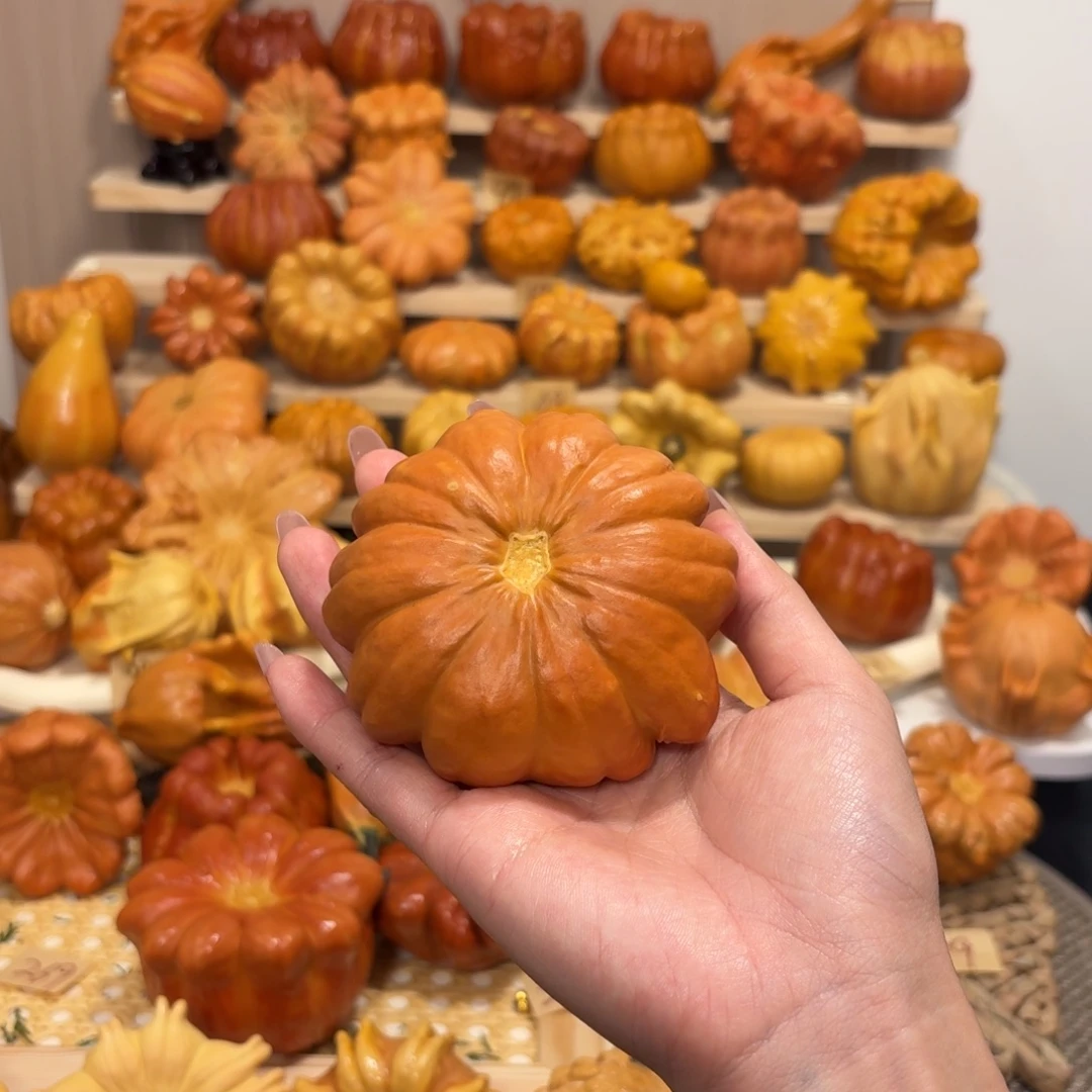 红色响籽扁花干货