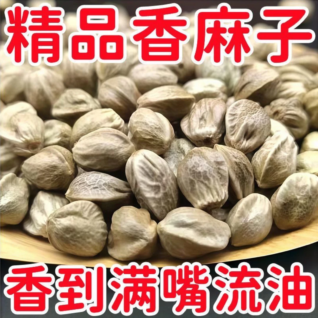 25年新麻子/甘肃天水秦安柴火大颗粒麻子