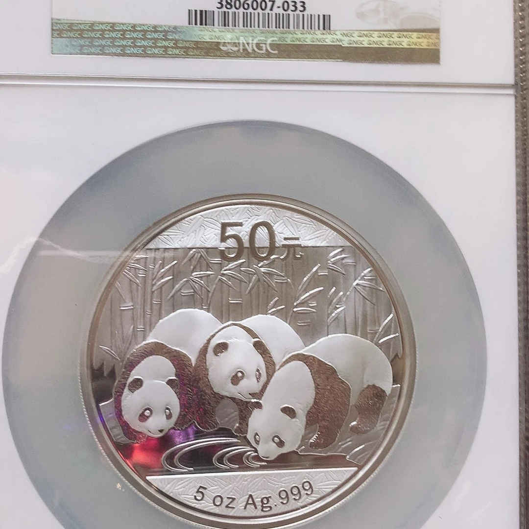 纯银2013年熊猫5盎司69分