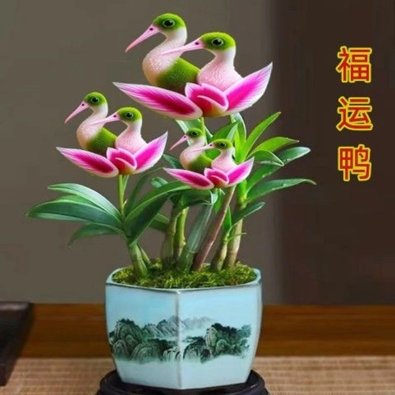 新品浓香福运鸭盆栽阳台办公室内四季绿植南北方种植庭院当年开花