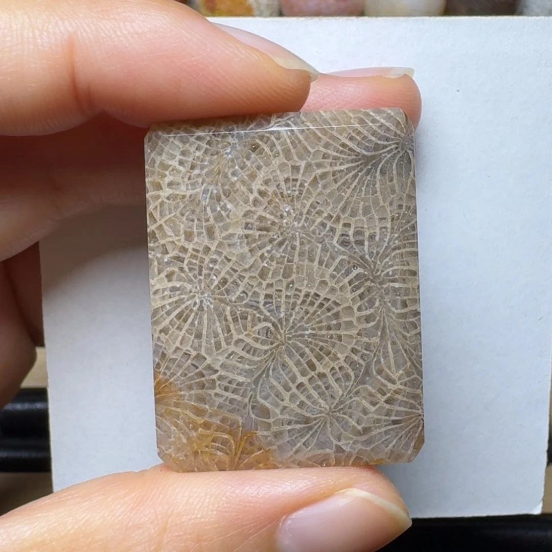 硅化玉特色花纹，全透未镶嵌