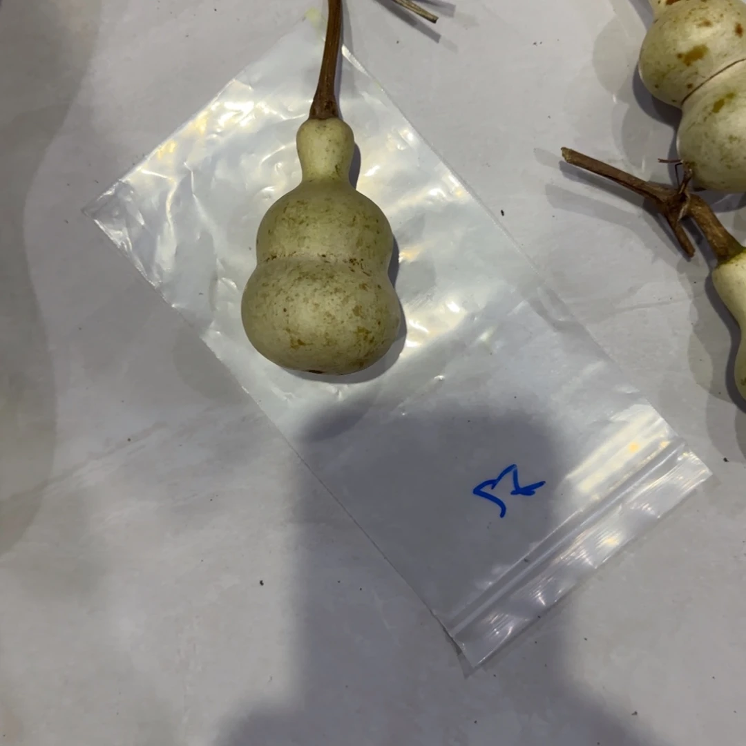 葫***屋青皮不包成青皮不包成