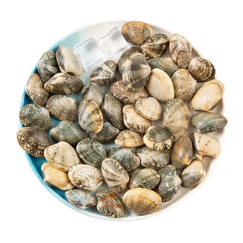 花甲/鲜花蛤1000g±50g（X)