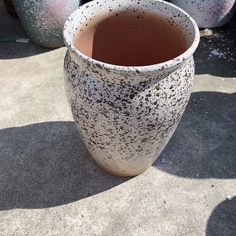 20/29瑕疵瑕疵的。