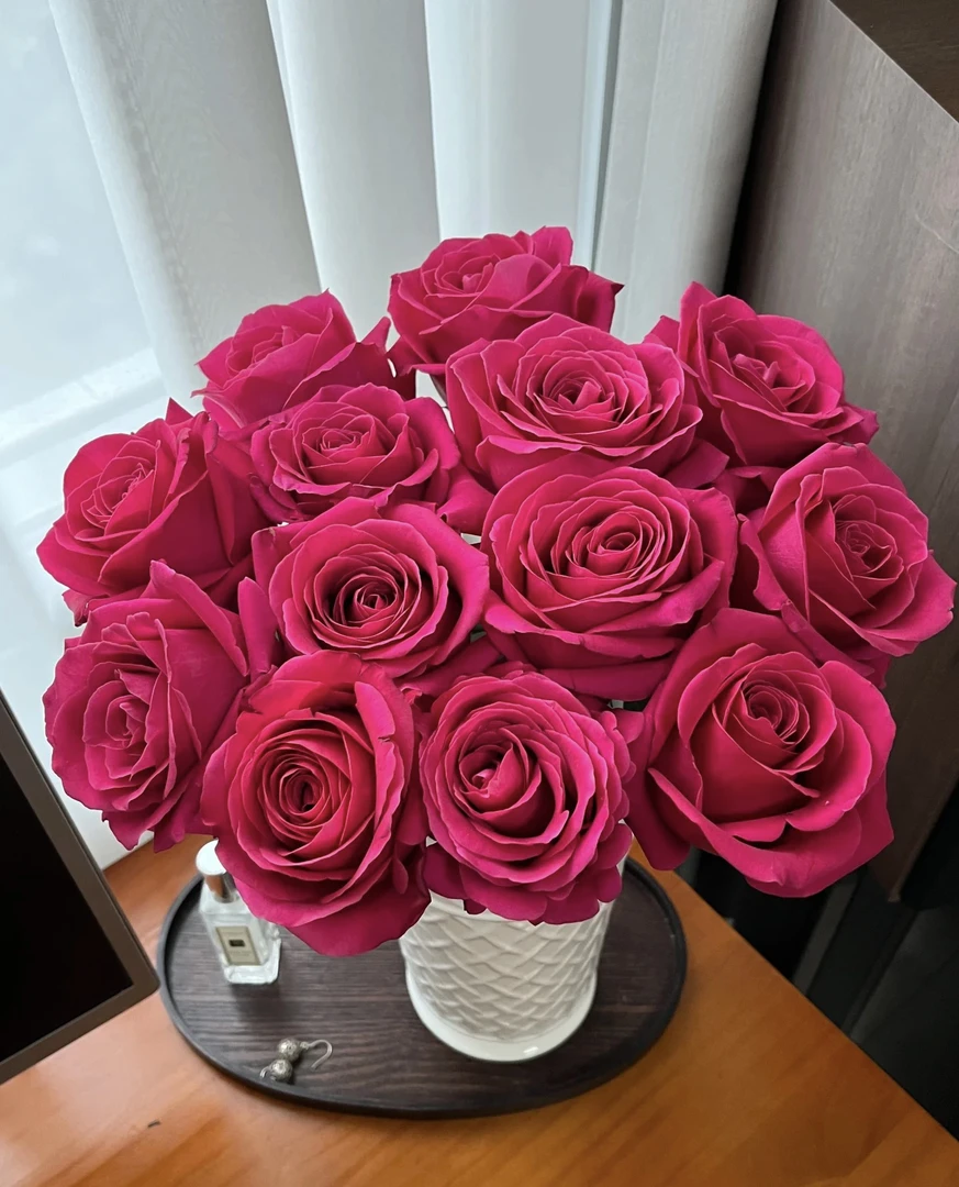 弗洛伊德玫瑰18支+2支防破损 居家玫瑰 收到花带包装醒花