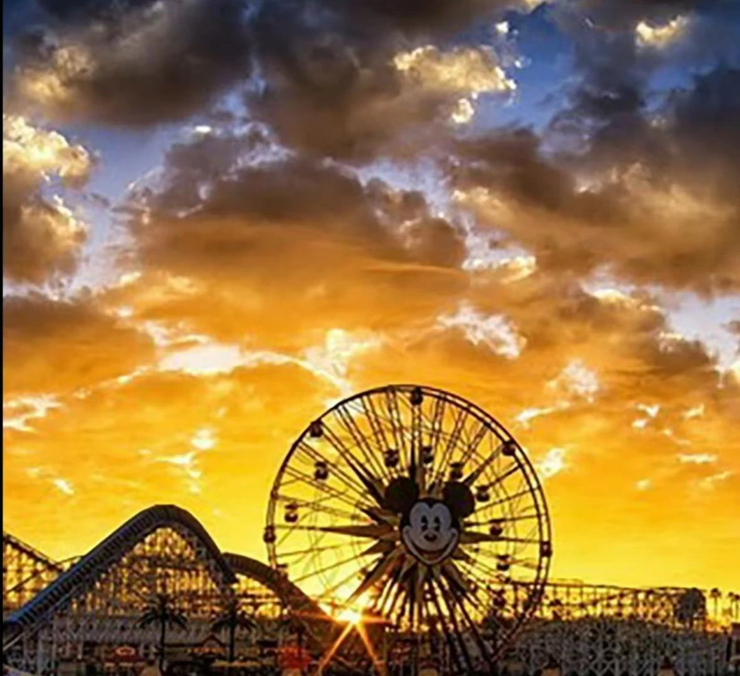 【26035】2025夏季设计师新款提花小狗时尚短袖