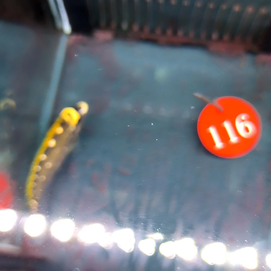 海水鱼金毛吊7+/6-72-116