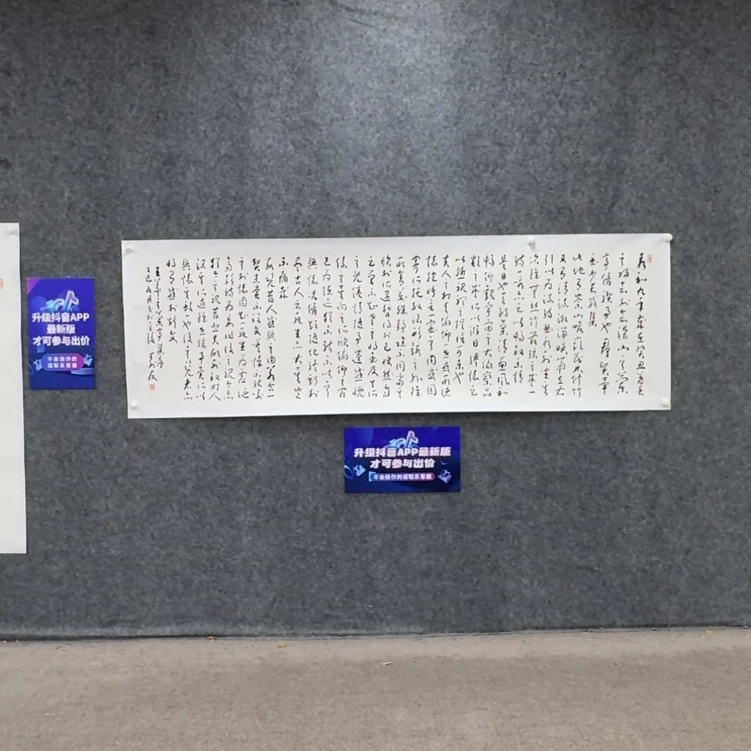 书法书法作品ZSY老师