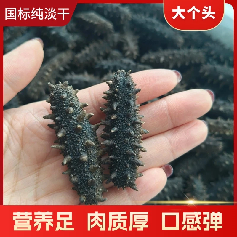 【大个头】国标纯淡干海参辽参深海渤海湾刺参海参干货30-70头/斤
