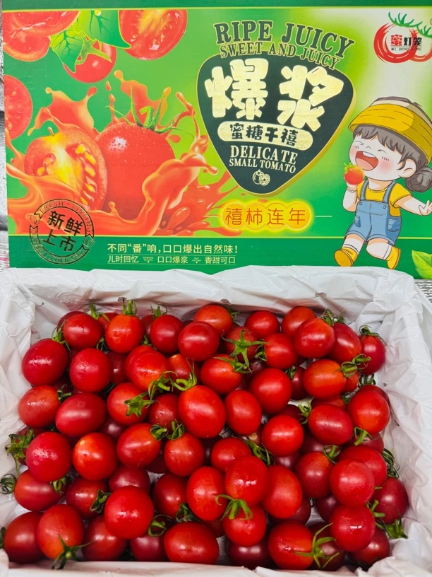 （坏10粒无售后介意慎拍）小柿子，大小不等每箱1.7-2斤，海南