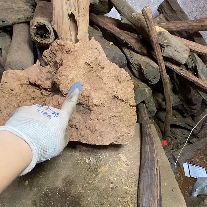 飞***飞降真香把件你在哪了。你是不是