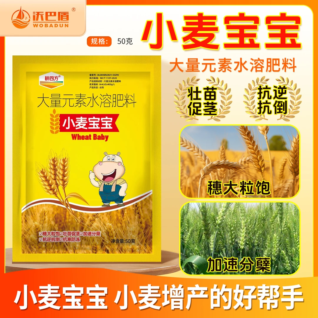 沃巴盾小麦宝宝促进生长促使叶片增绿高纯度高效肥籽粒饱满叶面肥