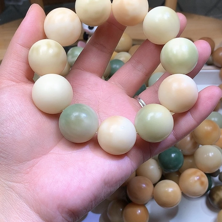 菩提根/象牙果吊坠丛*蕙