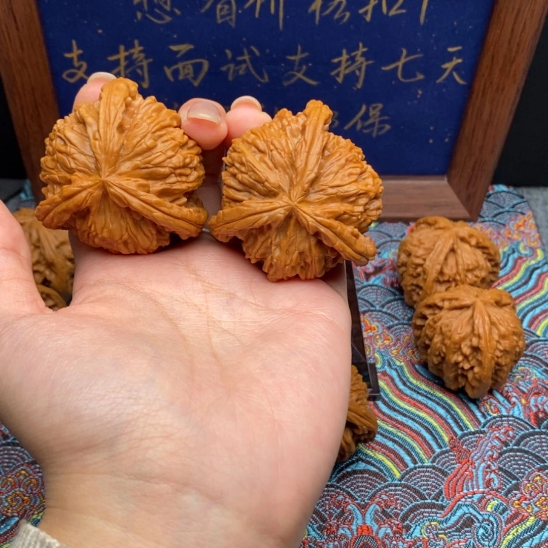 【闪购商品】愚*白狮