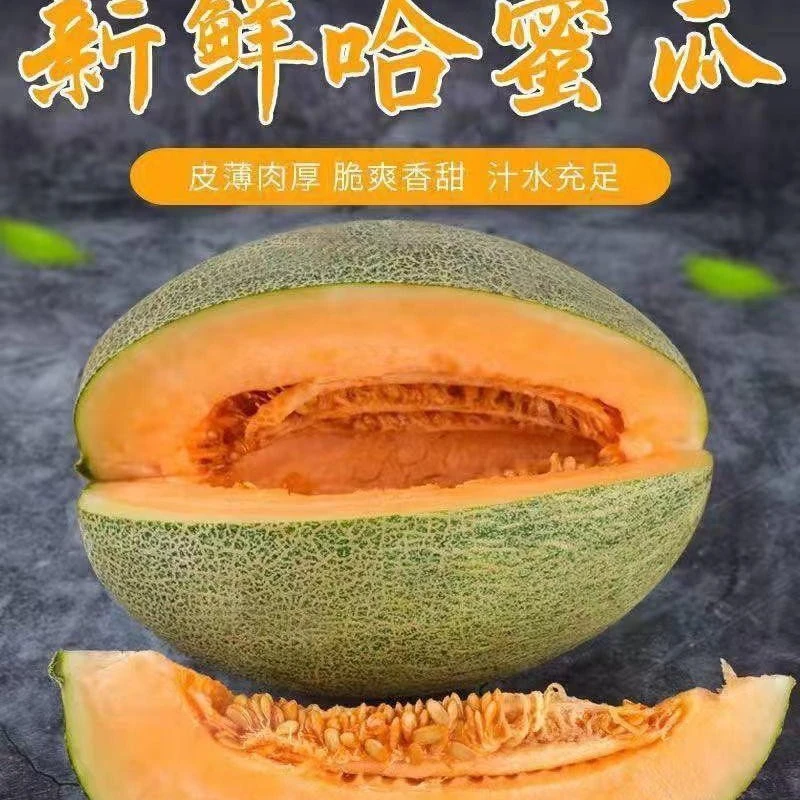 【甜蜜爆汁】正宗海南哈密瓜薄皮肉厚脆甜爽口多汁清甜水果晓蜜25号