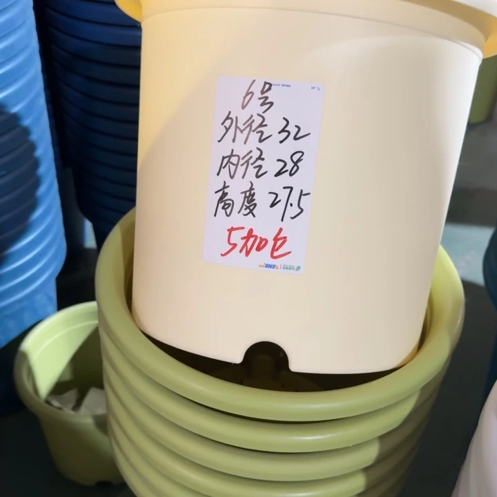 微瑕5·6#果绿各20个无托