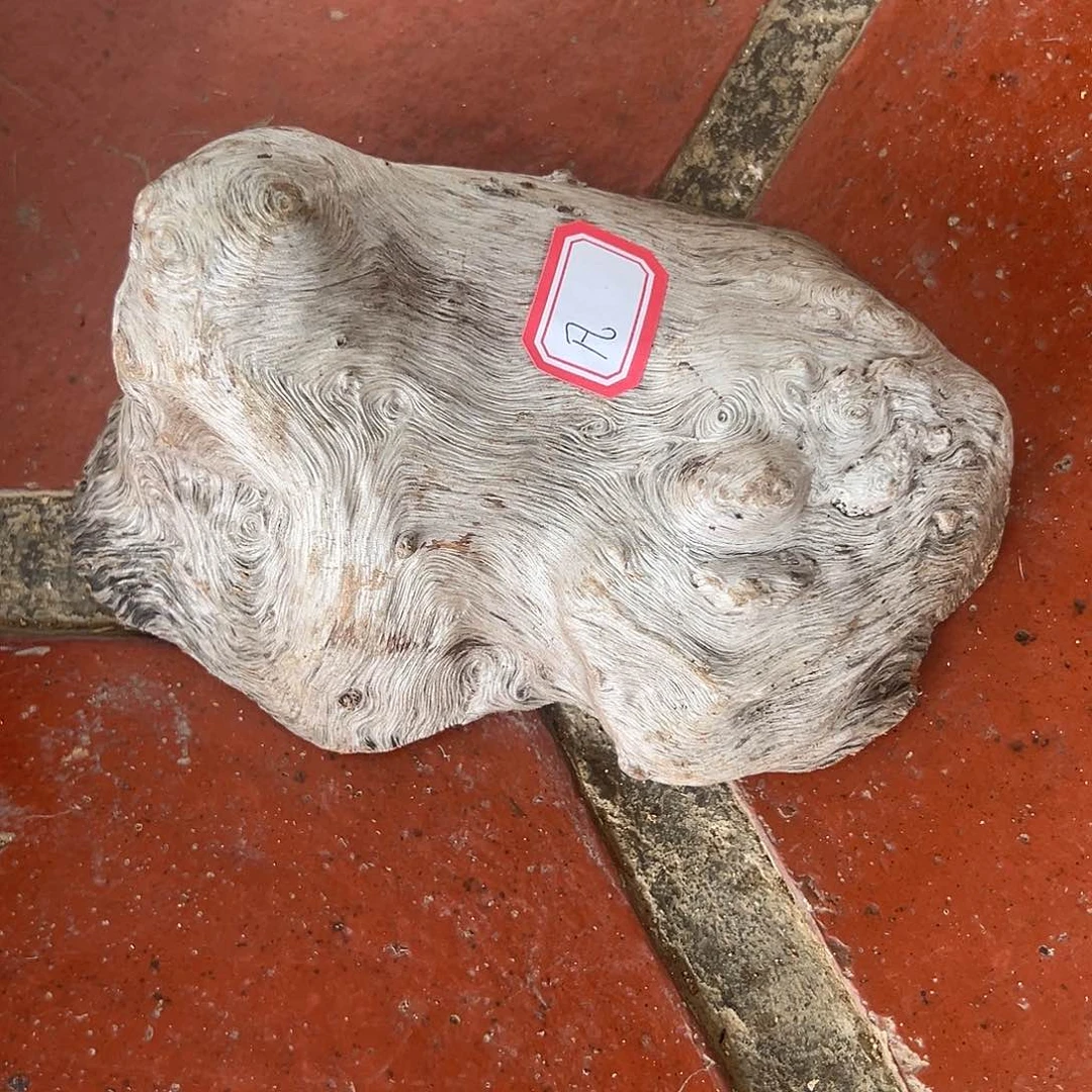 荔枝木凡***居荔枝木毛料